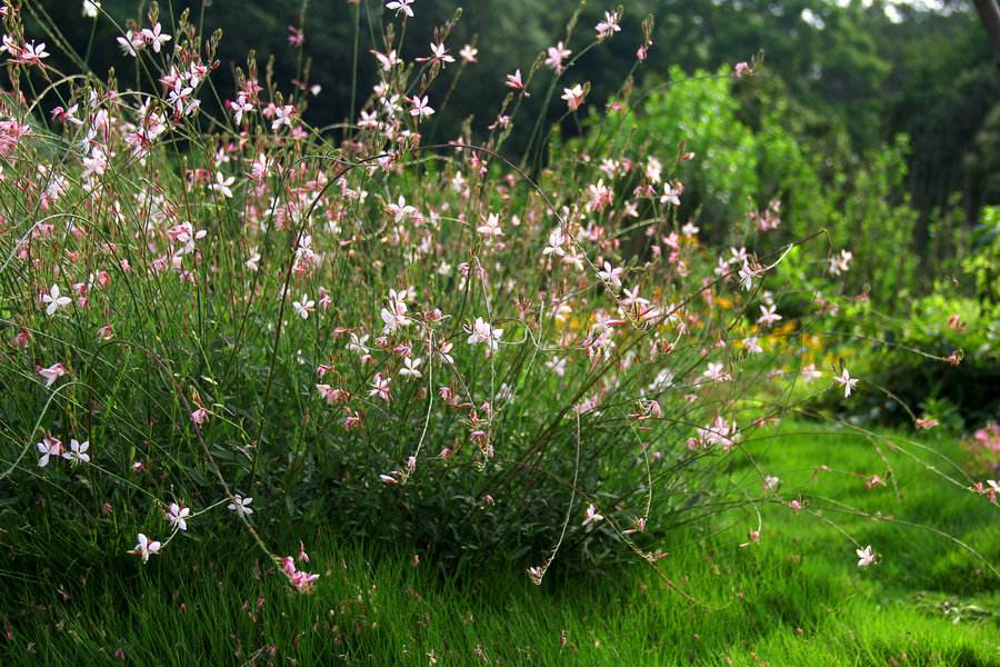 教練心得分享： 畢業(yè)墻