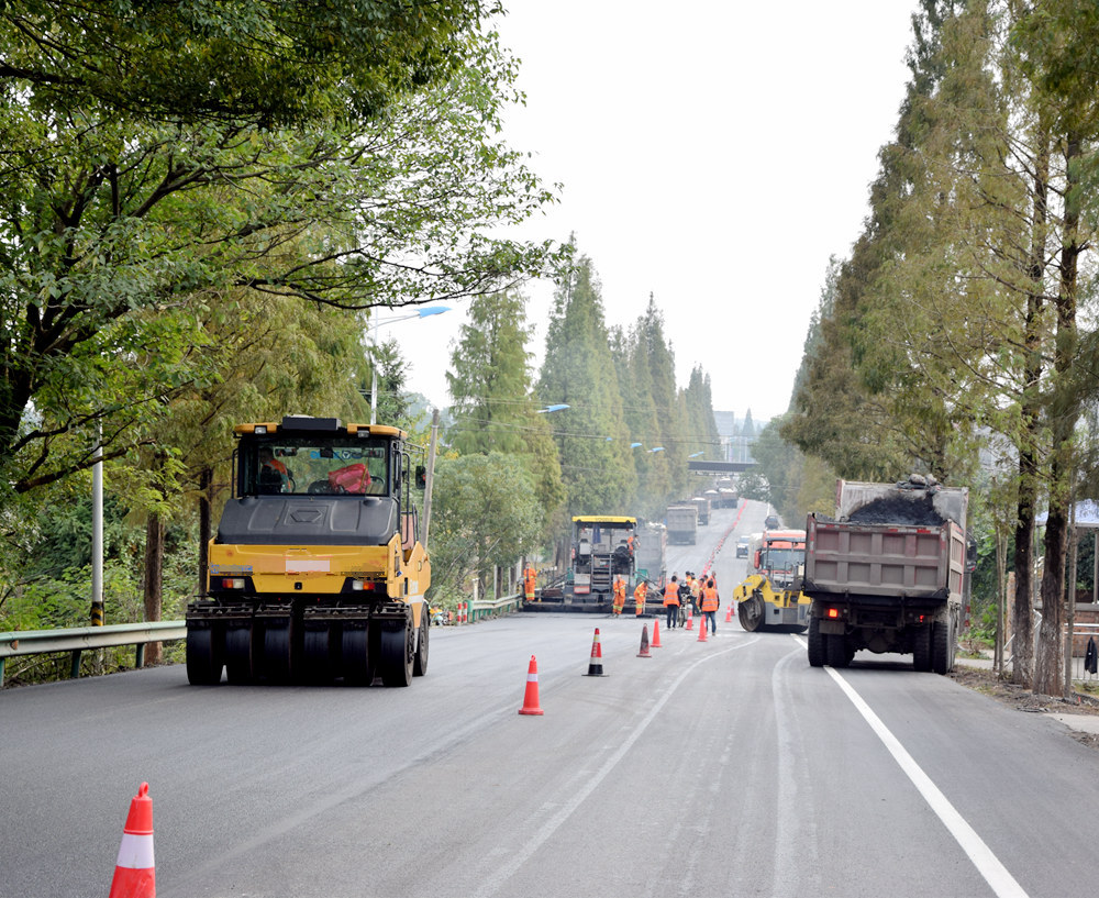 1635838500164898.jpg DSC_0185.JPG