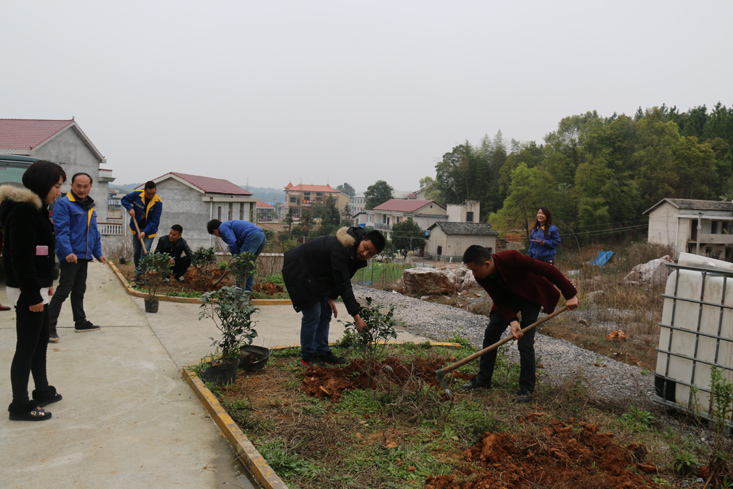 益婁14標(biāo)學(xué)雷鋒義務(wù)植樹活動