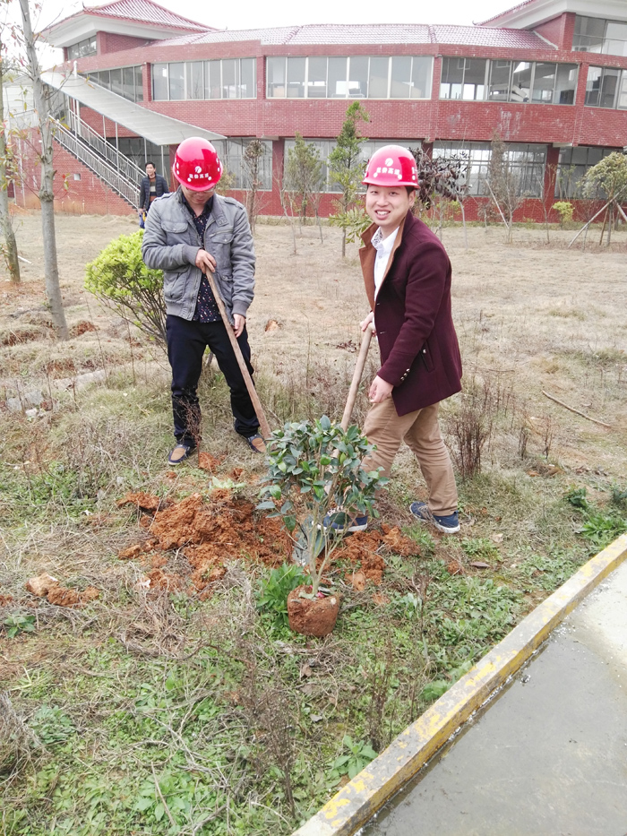 種一棵小樹，綠一方凈土